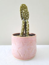 Load image into Gallery viewer, Carved Star Dust Planter