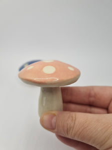Enchanted Mushies
