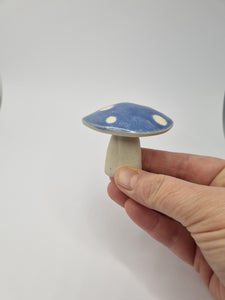Enchanted Mushies