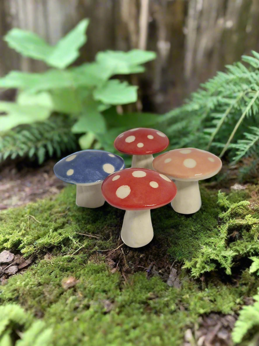 Enchanted Mushies