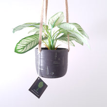 Load image into Gallery viewer, Industrial  Carved Hanging Planter - Small
