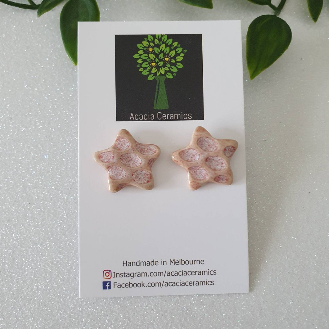 Star Dust Star Earrings